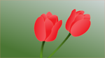 Free Stock Photo: Illustration of pink tulips