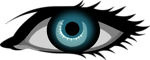 Free Stock Photo: Illustration of a human eye