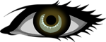 Free Stock Photo: Illustration of a human eye