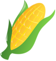Free Stock Photo: Illustration of an ear of corn