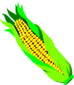 Free Stock Photo: Illustration of an ear of corn