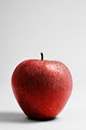 Free Stock Photo: A fresh red Rome Beauty apple