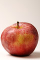Free Stock Photo: A fresh red Gala apple