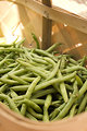 Free Stock Photo: Fresh green beans in a basket