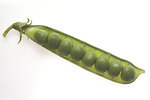 Free Stock Photo: A string of peas in a pod
