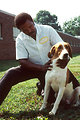 Free Stock Photo: A man kneeling by a fox hound dog