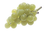 Free Stock Photo: A large bunch of green grapes