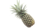 Free Stock Photo: A pineapple isolated on a white background
