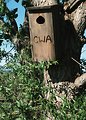 Free Stock Photo: A birdhouse