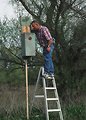 Free Stock Photo: A man checking a birdhouse