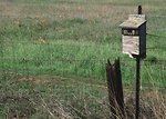 Free Stock Photo: A birdhouse
