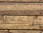 Free Stock Photo: Close-up of a wooden texture