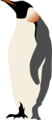 Free Stock Photo: Illustration of a penguin