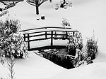 Free Stock Photo: Snow Covered Bridge