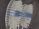 Free Stock Photo: Closeup of toothbrushes