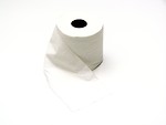 Free Stock Photo: Roll of white toilet paper