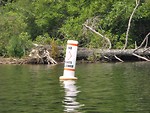 Free Stock Photo: A buoy floating in a lake