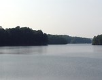 Free Stock Photo: View of a lake surrounded by trees