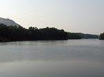 Free Stock Photo: View of a lake surrounded by trees