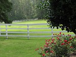 Free Stock Photo: Grass yard surrounded by white wooden fence