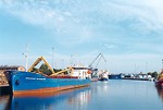 Free Stock Photo: Boats in a harbour with a blue sky