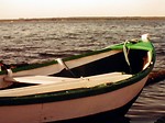 Free Stock Photo: A small wooden boat on a lake