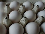 Free Stock Photo: Closeup of eggs in a carton