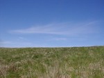Free Stock Photo: Blue sky over a green field