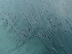Free Stock Photo: Closeup of a sheet of ice