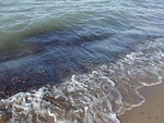 Free Stock Photo: Closeup of waves breaking on the beach