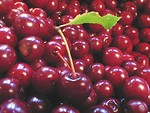 Free Stock Photo: Closeup of a bunch of red cherries