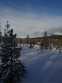 Free Stock Photo: Winter landscape with trees and mountains
