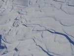 Free Stock Photo: Snow covered ice