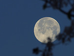 Free Stock Photo: Winter moon