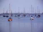 Free Stock Photo: San Diego Bay sailboats