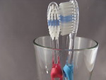 Free Stock Photo: Closeup of toothbrushes
