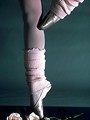 Free Stock Photo: Closeup of a ballerina