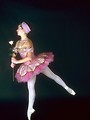 Free Stock Photo: A young ballerina posing with a yellow rose