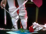 Free Stock Photo: Closeup of a ballerina tying her slippers with a rose on the floor