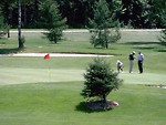 Free Stock Photo: A group of men analyzing a golf putt