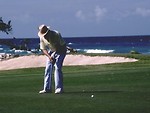 Free Stock Photo: Man putting a golf ball on a green by the ocean