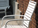 Free Stock Photo: White chair by fence