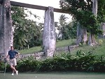 Free Stock Photo: A man posing with a golf club on a tropical golf course