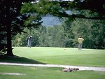 Free Stock Photo: Two people playing golf on putting greens
