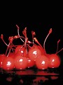 Free Stock Photo: A group of moist cherries on a black background