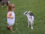 Free Stock Photo: Young girl and a goat in the grass