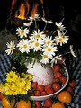Free Stock Photo: A display of strawberries and flowers