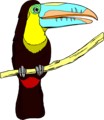 Free Stock Photo: Illustration of a toucan bird