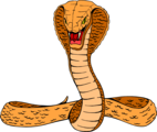 Free Stock Photo: Illustration of a cobra