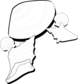 Free Stock Photo: Illustration of sea shells